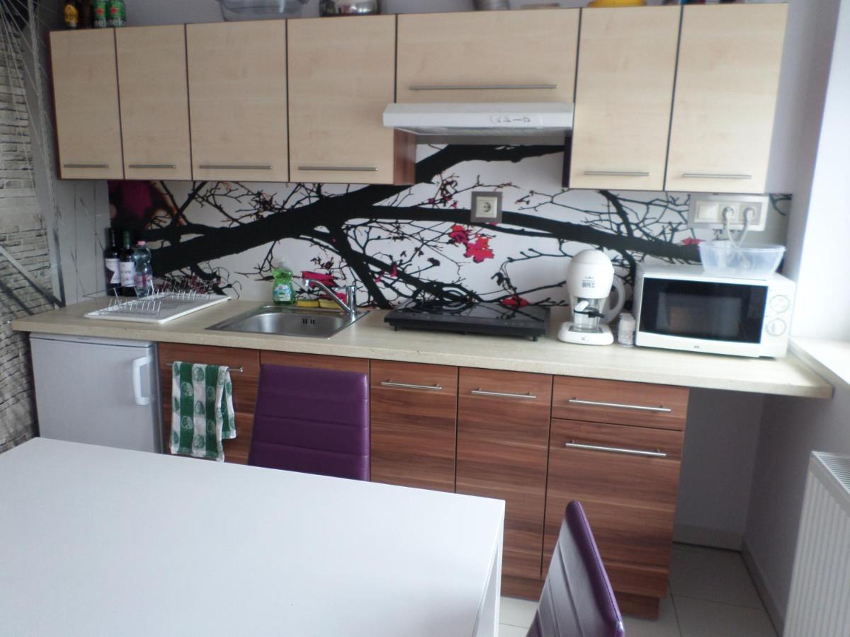 شقة Sárvár  في Cecilia Apartman المظهر الخارجي الصورة